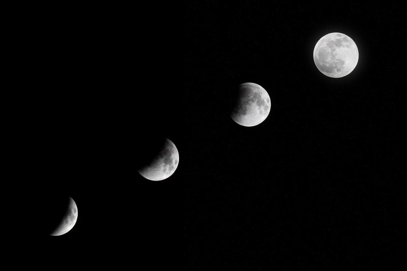 Moonlit Garden