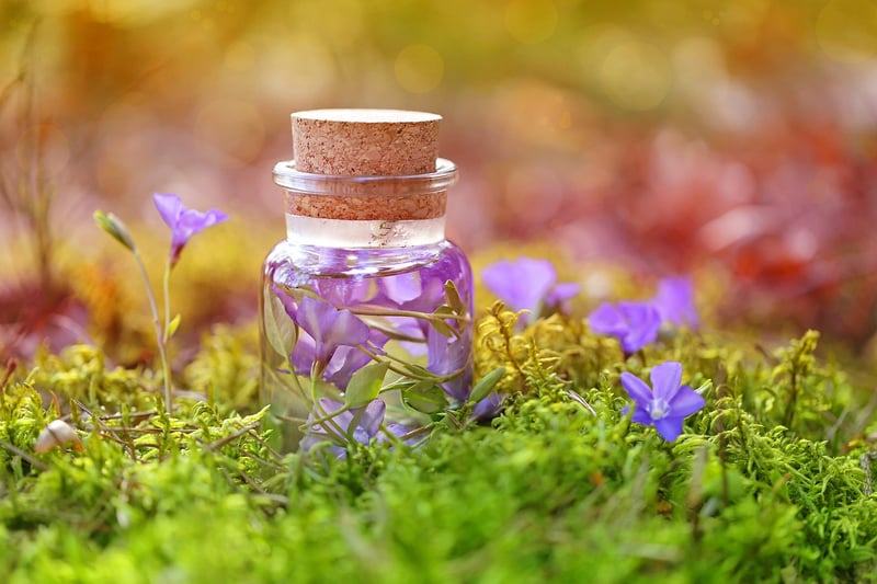 Potion of Fertility