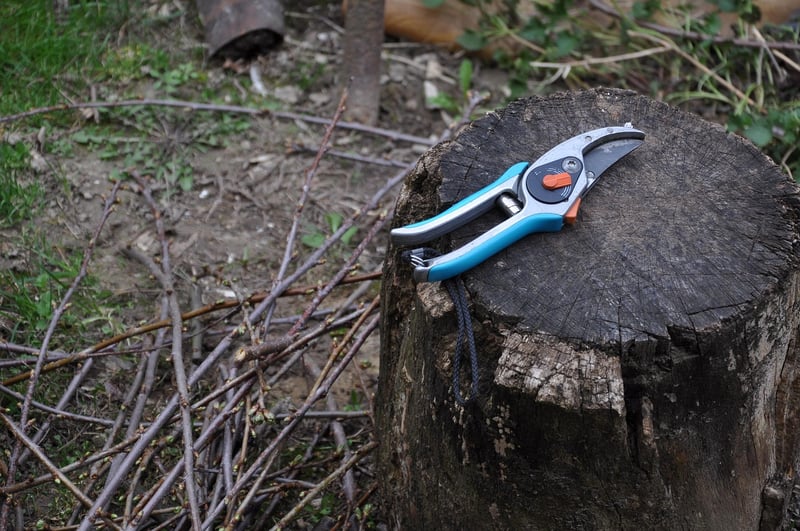 Crystal Pruning Shears