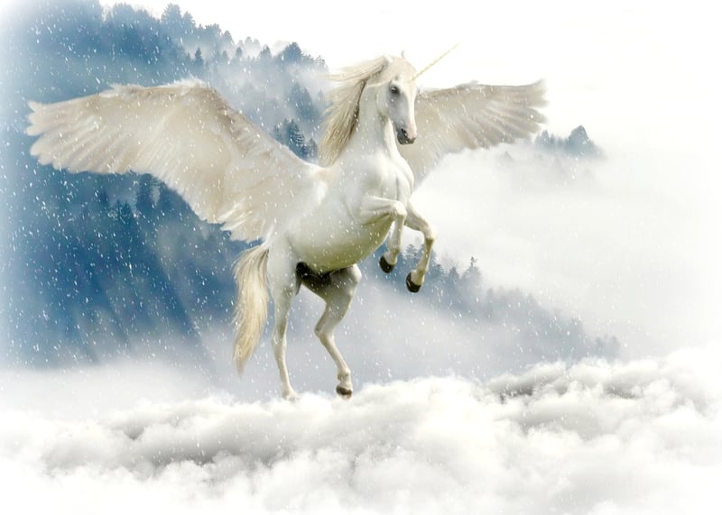 Unicorn Sanctuary