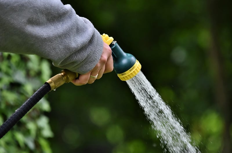 Enchanted Watering Can